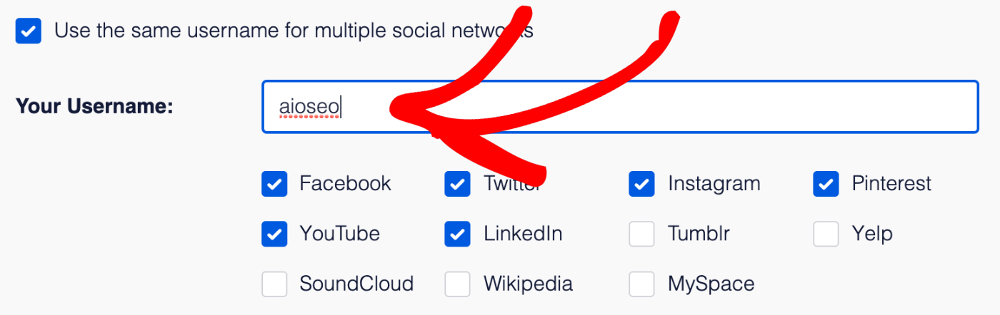 Setting your profile name for multiple social media networks using the Your Username field