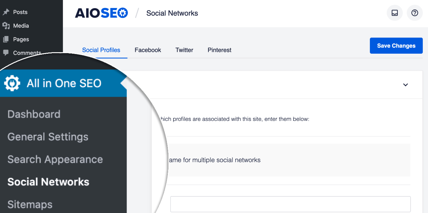 Social Networks menu item in All in One SEO