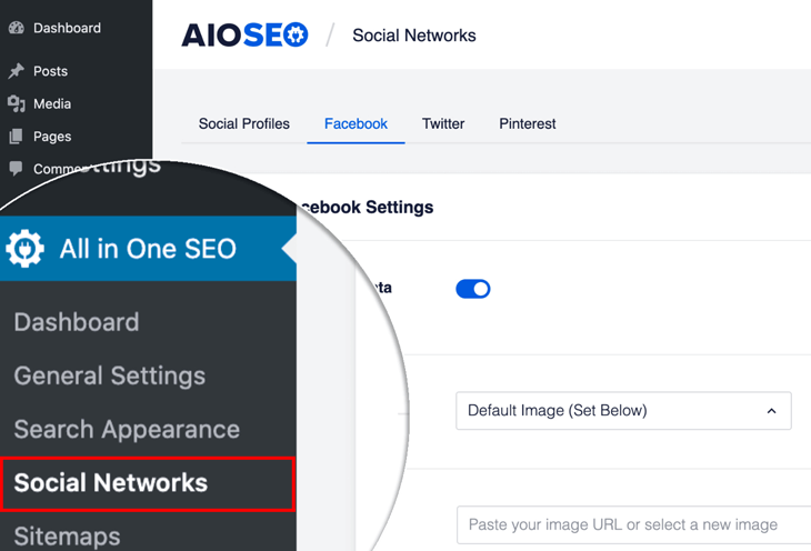 Социальные сети в целом в одном SEO (AIOSEO)