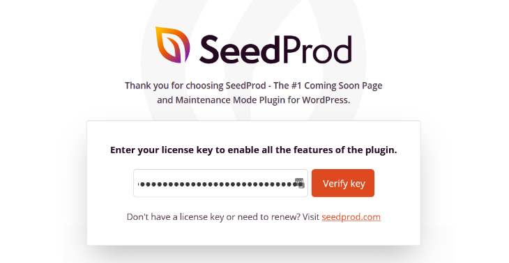 enter your seedprod license key into the blank field 