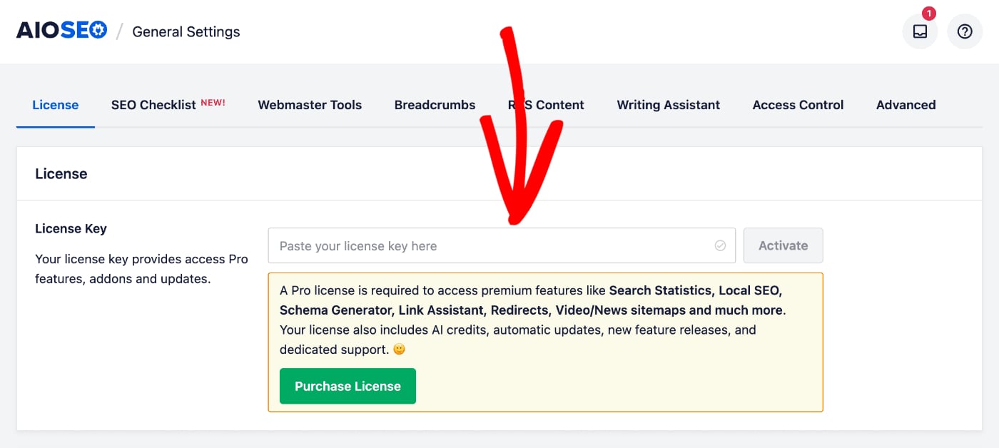 License Key field shown on the License screen in All in One SEO