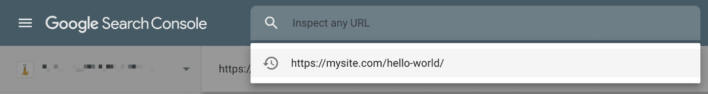 URL inspection field in Google Search Console
