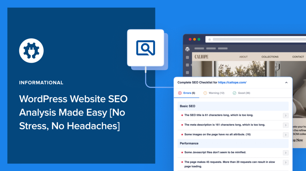 WordPress website SEO analysis made easy.