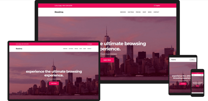 Consider Roxima as you search for the best WordPress themes for SEO.