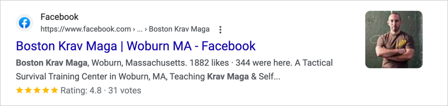 facebook search snippet example