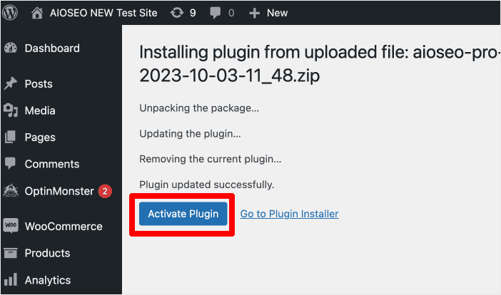 Click the Activate Plugin button.