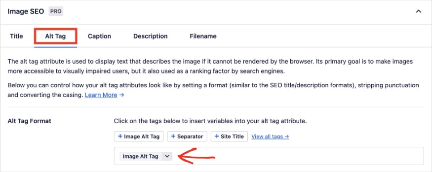 AIOSEO Image SEO settings show how you can customize alt tag settings to generate automatically.