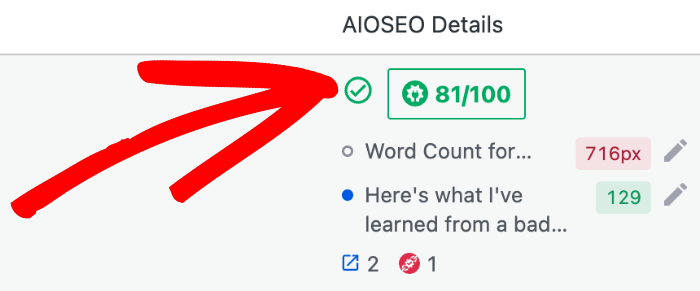 Index Status icon shown in the AIOSEO Details column