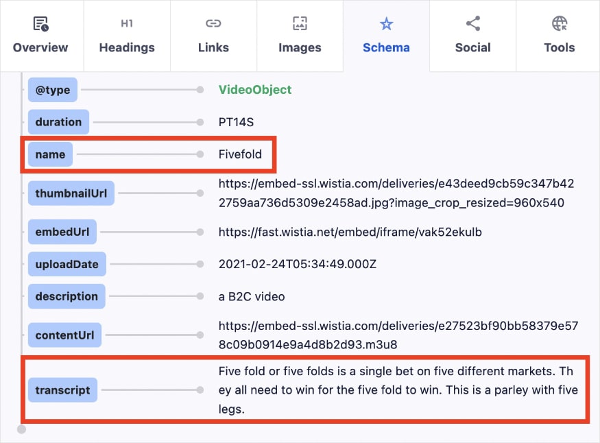 Example of video schema on Wagering Terms' website shows how they use the video name and transcript to optimize for search engines.