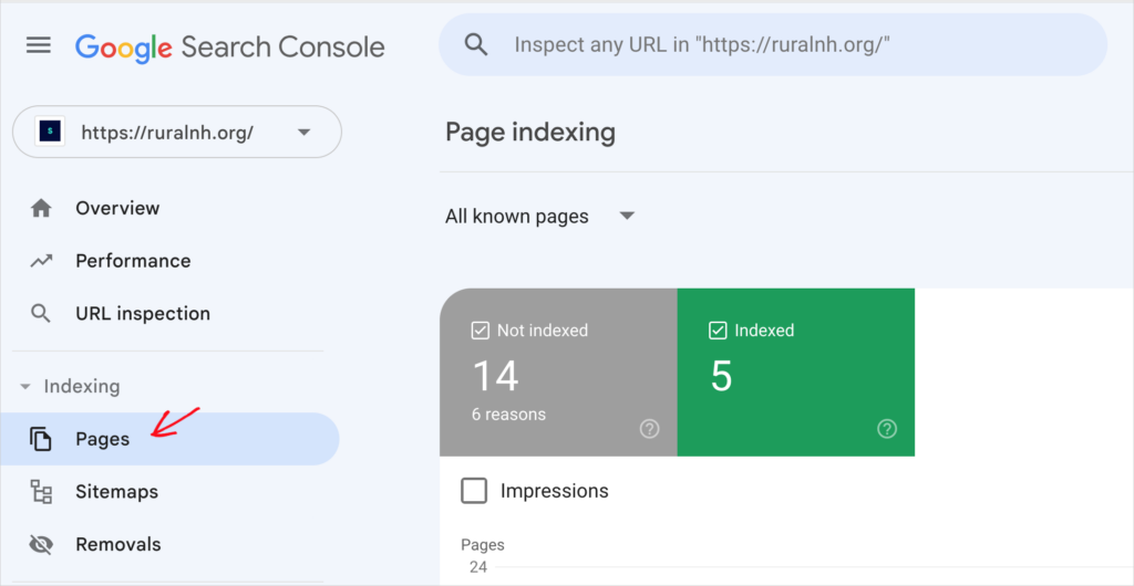 google search console pages section
