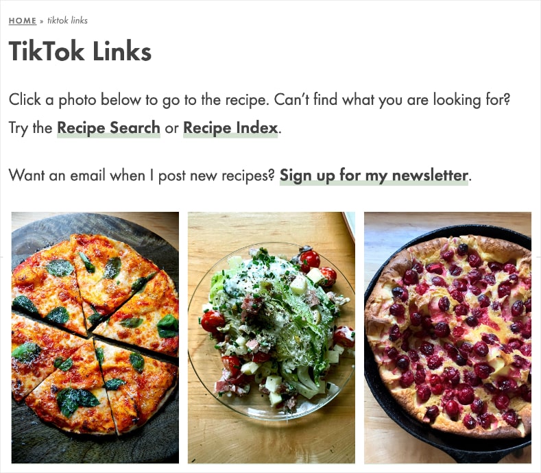 Ali features TikTok links on her blog to showcase her recipes shared on social media.