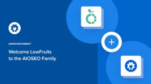 AIOSEO acquisition announcement of LowFruits.
