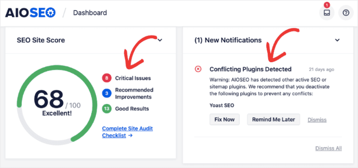 AIOSEO's site audit tool report.