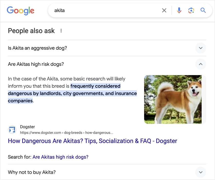 Google people also ask box for the query akita.