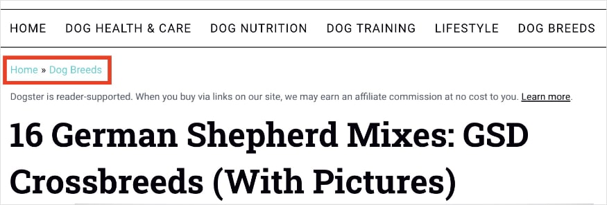 Dogster breadcrumb trail on an article.