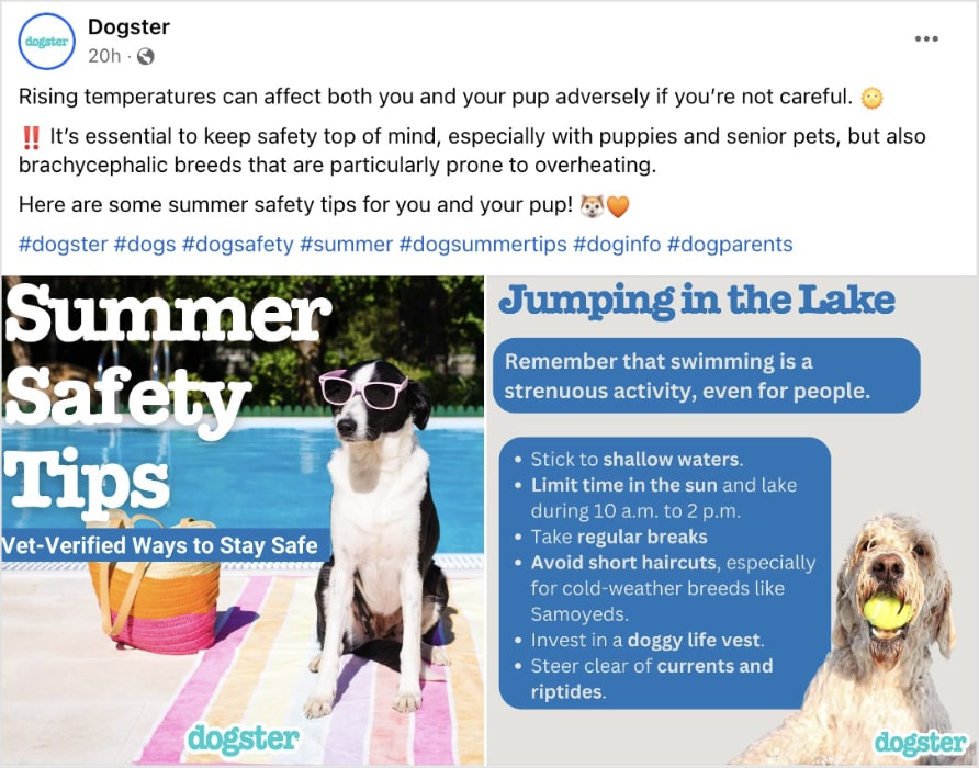 Dogster Facebook post about dog summer safety tips.