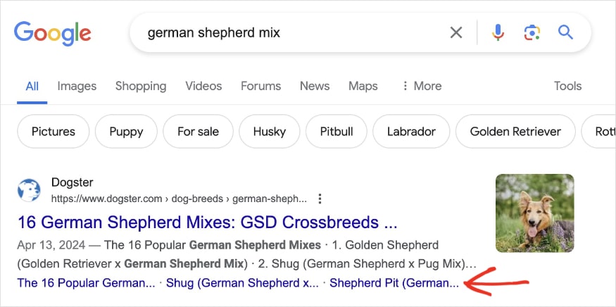 Sitelinks under a Google search result for german shepherd mixes.