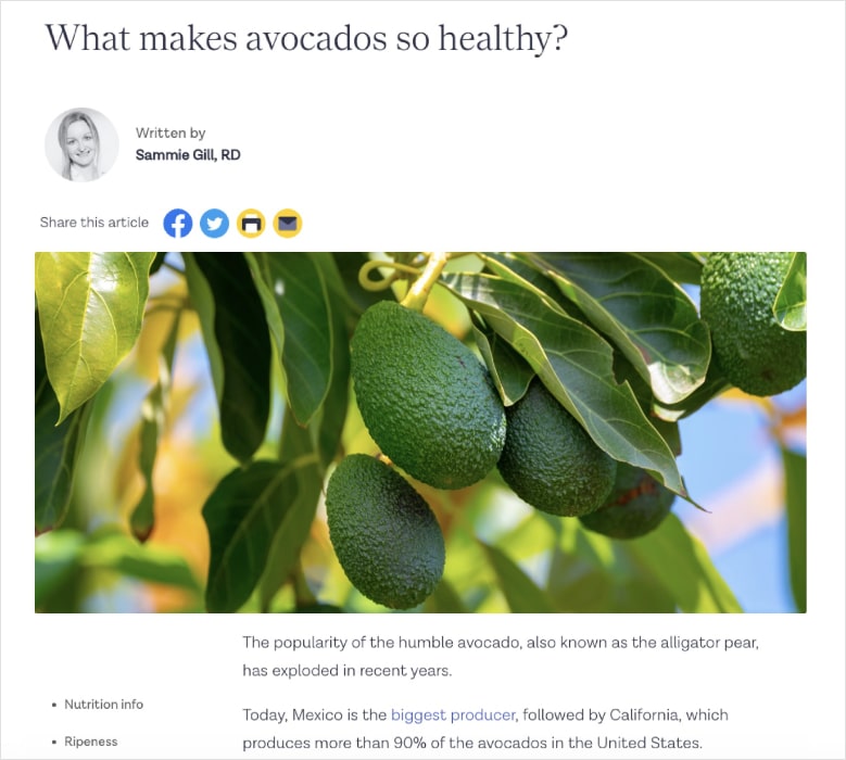 Avocado health blog on ZOE with picture of avocado.