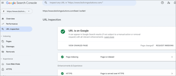 Url Inspection How to Add Google Search Console to Your WordPress Website