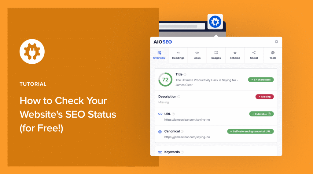 How to check website SEO status.