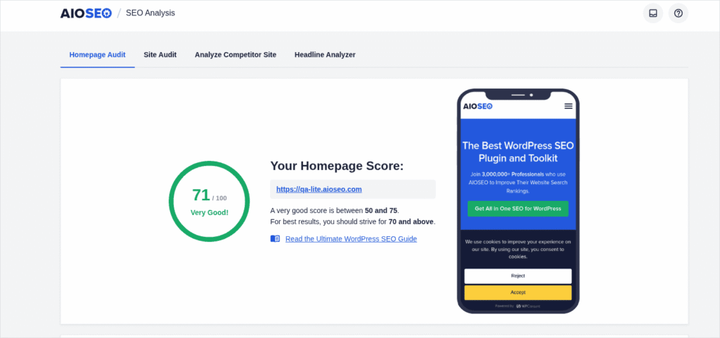 Homepage udit AIOSEO's Homepage audit