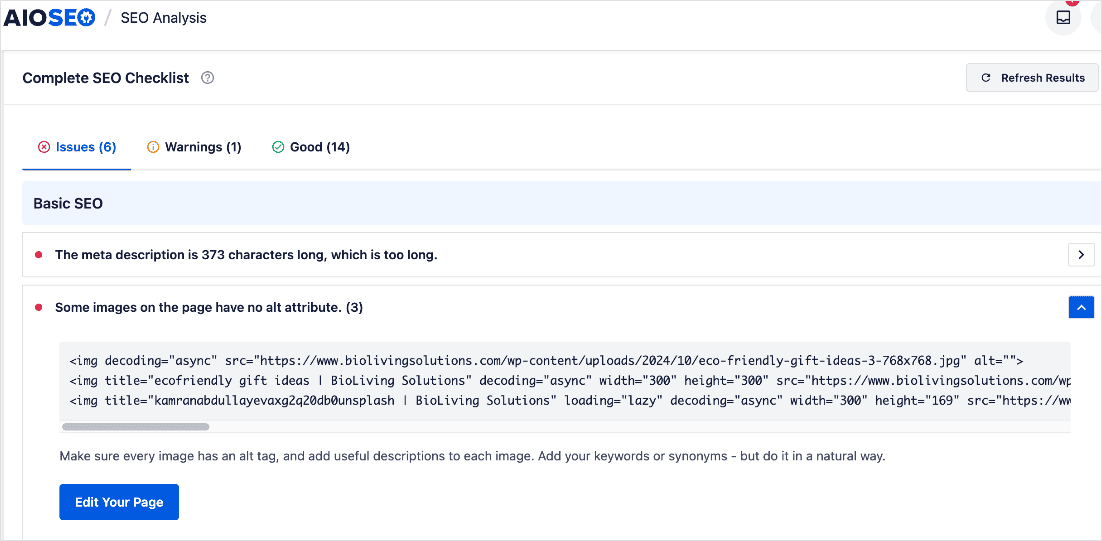 Basic SEO tab in the Site Audit Checklist.
