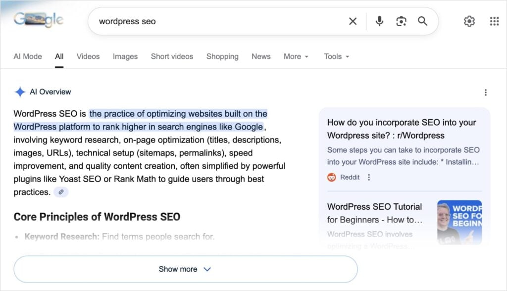 Google AI Overview explains WordPress SEO directly in search results.