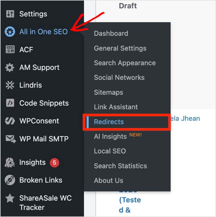 Redirects in AIOSEO Redirects in the All in One SEO menu of WordPress.