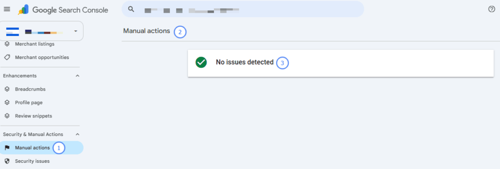 Screenshot of Google Search Console UI with left navigation and a 'No issues detected' panel showing a green check mark in the main area.'s manual reporting section A snapshot of GSC's manual reporting section