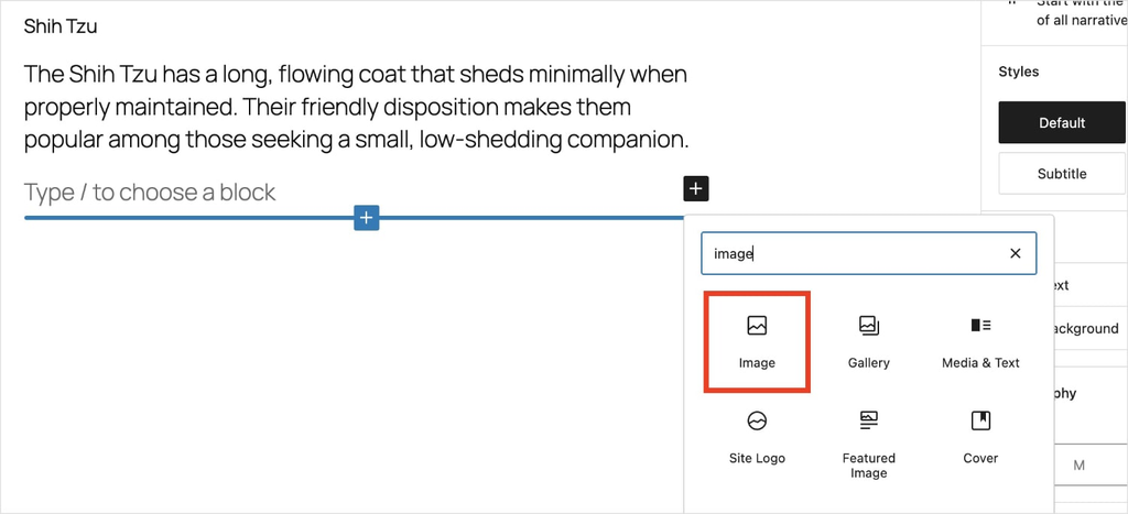 A snapshot showing the image block in WordPress